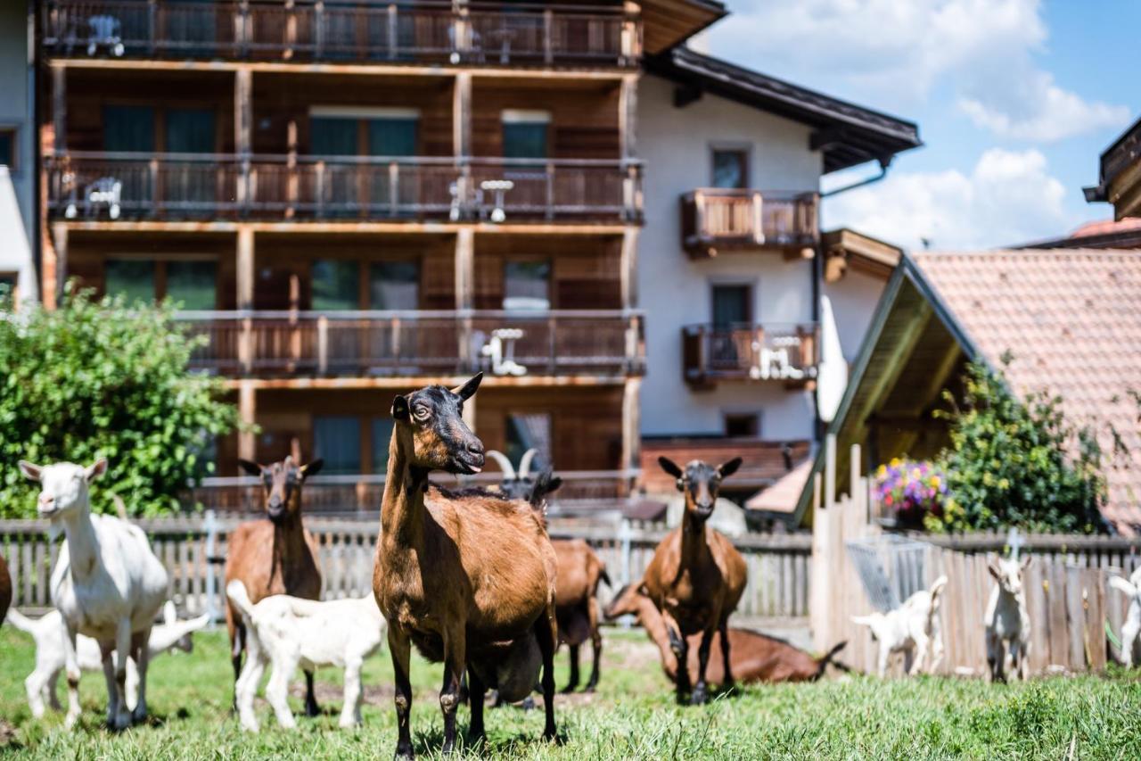 Sporthotel Exclusive San Vigilio Di Marebbe Exteriér fotografie